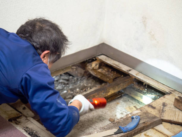 Water Damage Restoration in Kyle, TX