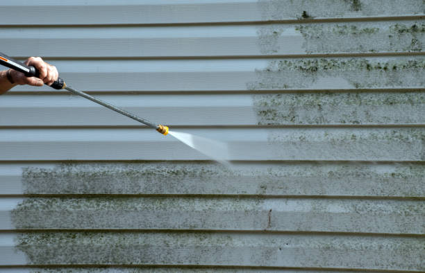Best Commercial Mold Removal  in Kyle, TX