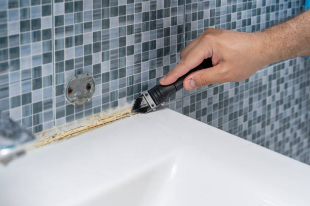 Best Certified Mold Removal  in Kyle, TX