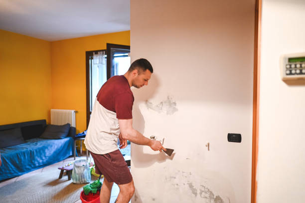 Mold Removal and Inspection in Kyle, TX