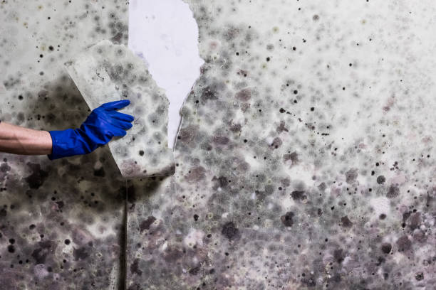 Water Damage Restoration in Kyle, TX